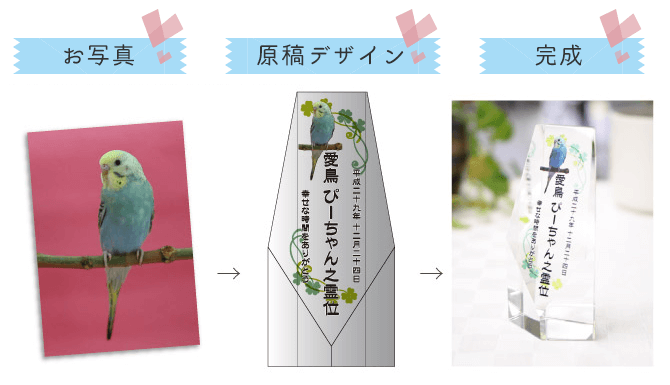 配置イメージ