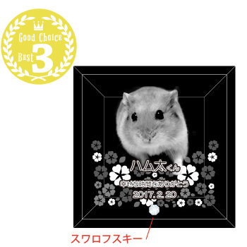 ③幸せの花園
