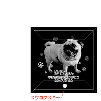 ④スノーフラワー