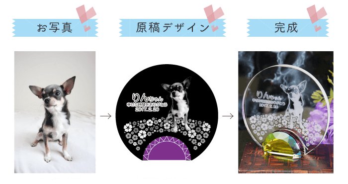 配置イメージ