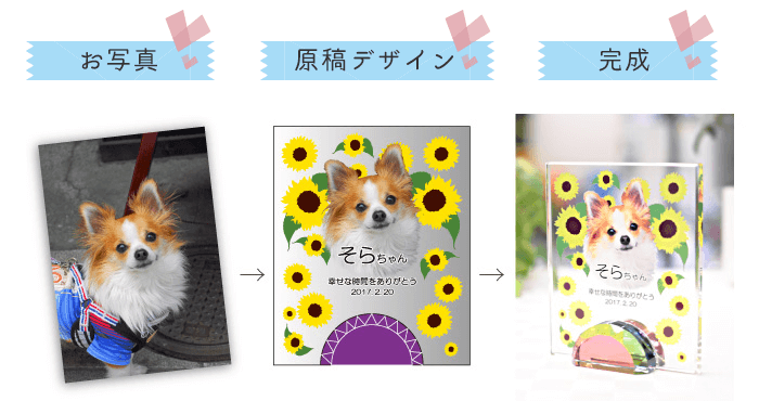 配置イメージ