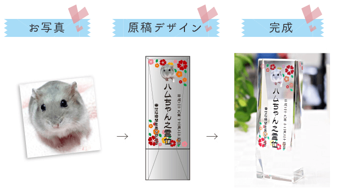 配置イメージ