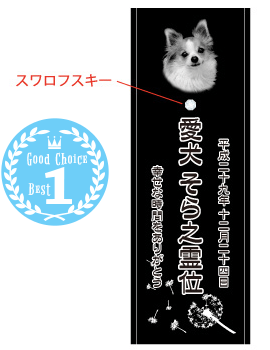 ①綿毛の旅