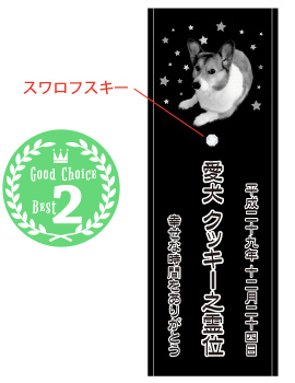 ②星空の向こうに