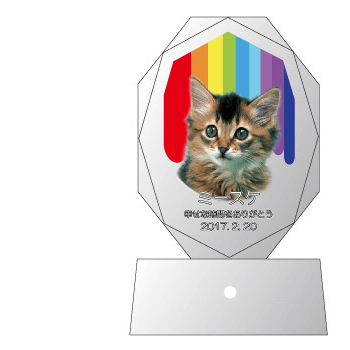④虹のシャワー