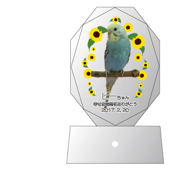 ⑤あなただけを見つめる