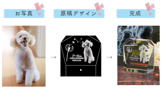 配置イメージ