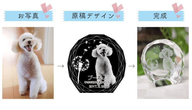 配置イメージ