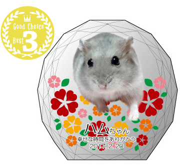 ③幸せの花園