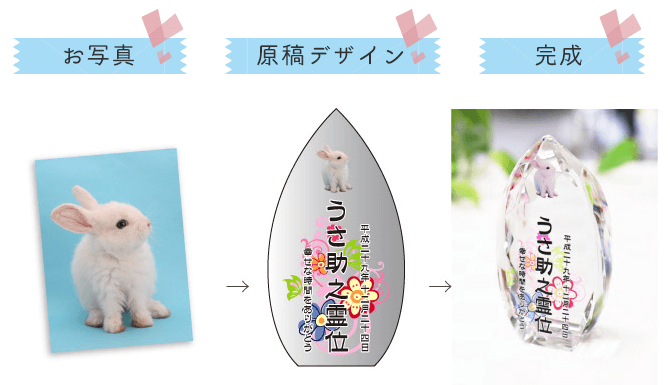 配置イメージ